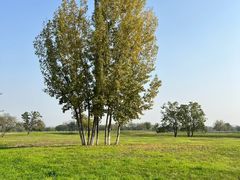 -汉长安城未央宫国家考古遗址公园