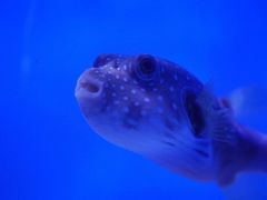 -多彩贵州城极地海洋世界