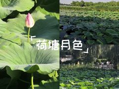 -泉城广场
