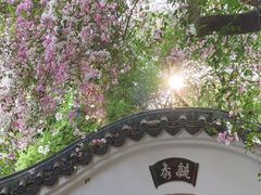 -深圳国际园林花卉博览园