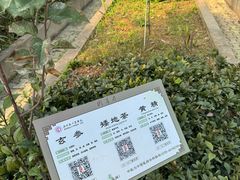 -马王堆汉墓遗址