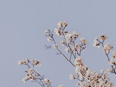 -静安雕塑公园