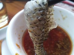 -章记正宗南岗鱼蛋火锅