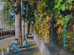 -斯多格书乡(北京大学畅春园店)