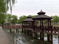 -尚庄度假村·庭台树下·户外烧烤·团建CS·轰趴营地(上庄水库店)