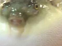 -观桥阁(锦溪店)