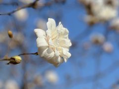 -陕西省西安植物园