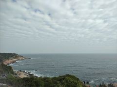 -广东惠东海龟国家级自然保护区