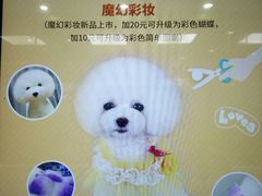 -瑞鹏宠物医院华南总院·夜诊·心脏科·骨科
