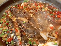 -食全酒美驴肉馆