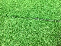 -中国石化北蔡加油站