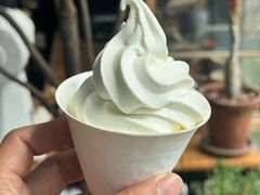 -北马山庄植趣咖啡