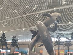 -青岛胶东国际机场