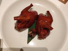 -茉里粤菜(皇姑万象汇店)