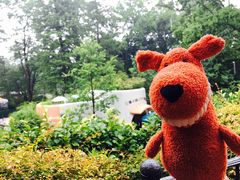 -三鹰之森吉卜力美术馆