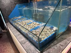 -曼格活海鲜·牛排自助(光明蓝鲸店)