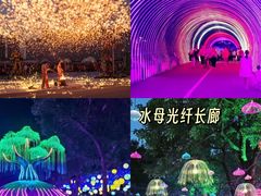 -观澜湖生态运动公社