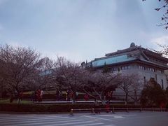 -武汉大学-樱园