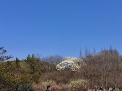 -上海方塔园