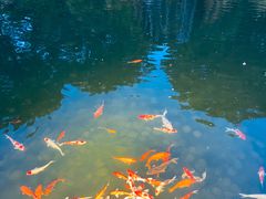 -西郊宾馆·1921餐厅