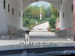 -雾灵西峰