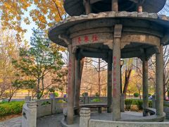 -玲珑塔公园