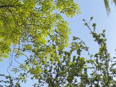 -元大都城垣遗址公园