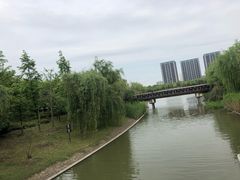 -南翔镇银翔湖公园