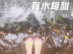 -广州市白云山风景名胜区