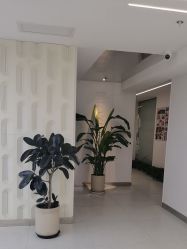 -魔型社烫染店