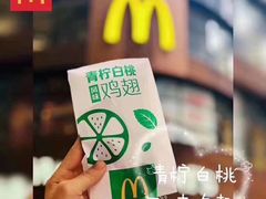 -麦当劳(衡阳中心汽车站店)