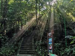 -七仙岭温泉国家森林公园