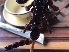 -昆虫窝子·特色云南菜(拓东路总店)