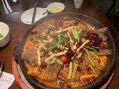 -老板恋上鱼(高新万达店)