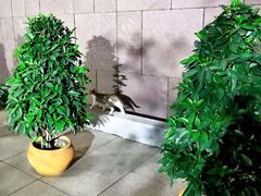 -南越王博物院(王宫展区)