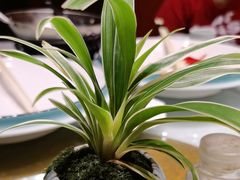 -莲池荟素食馆·12年老字号(光孝寺店)