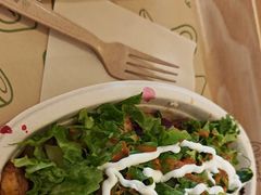 -油梨树 AVOCADO TREE(亮马桥店)