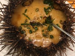 海胆-万宝海鲜舫(劳动公园店)