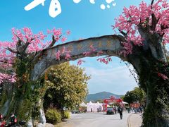 -天适樱花悠乐园