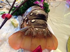 iphone_upload_pic-御同亨酒楼·喜宴