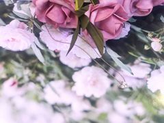 -Tiffany & Co.蒂芙尼
(天津万象城店)