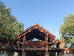 -野鸭湖国家湿地公园