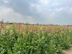 -中国天府农业博览园