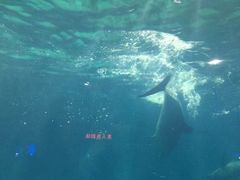 -福州罗源湾海洋世界旅游区