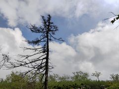 -凤凰山国家森林公园
