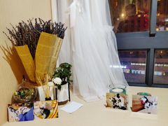 -Husky Go! 哈士奇体验馆·宠物咖啡厅狗咖