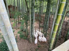 -长兴慧子土特产茶行