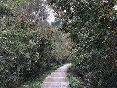 -敬亭山风景名胜区