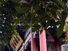 -西安大兴善寺