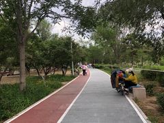 -绿堤公园